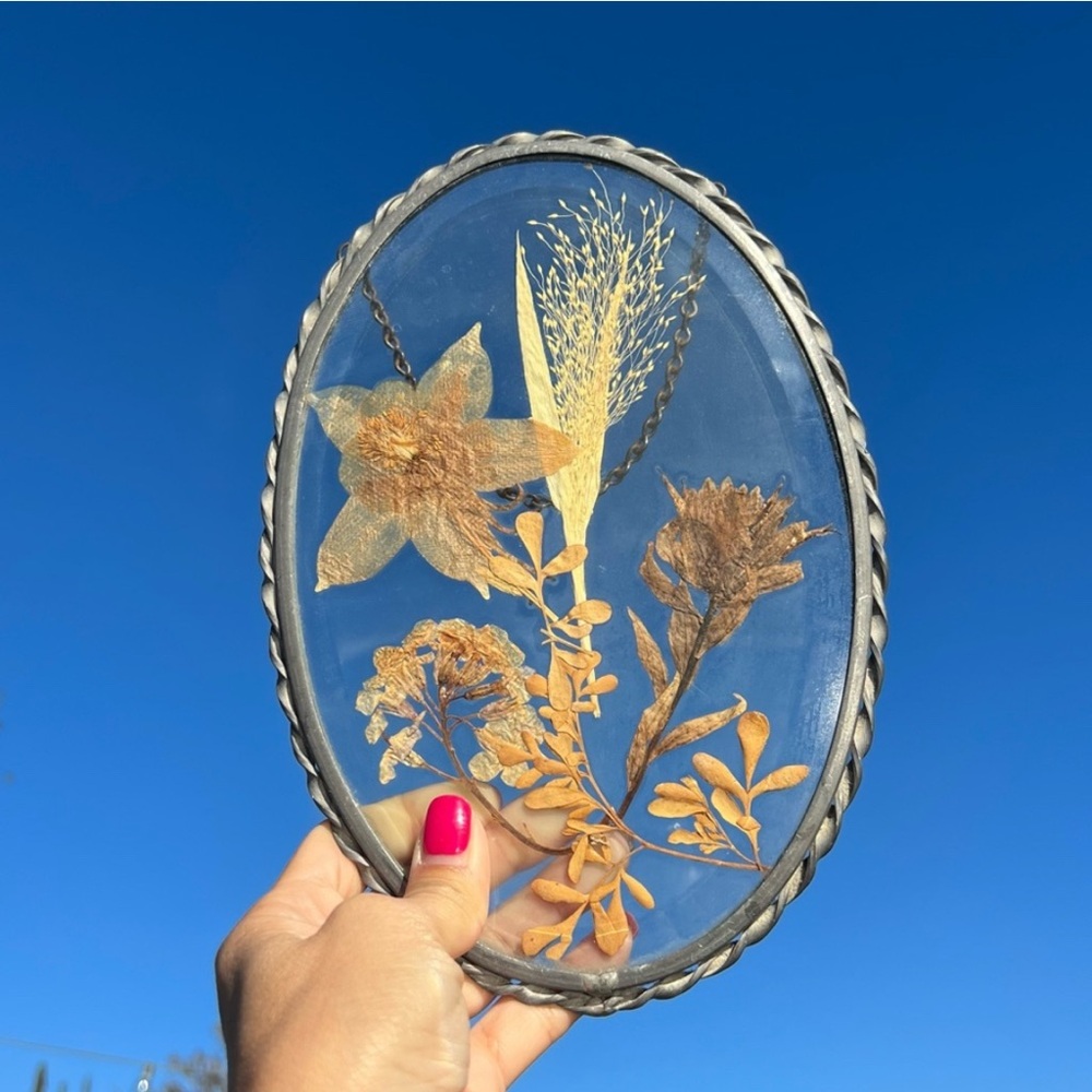 Vintage Silver Framed Botanical Art